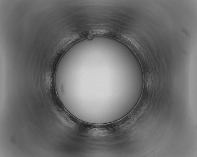 X0000113260455200909241526