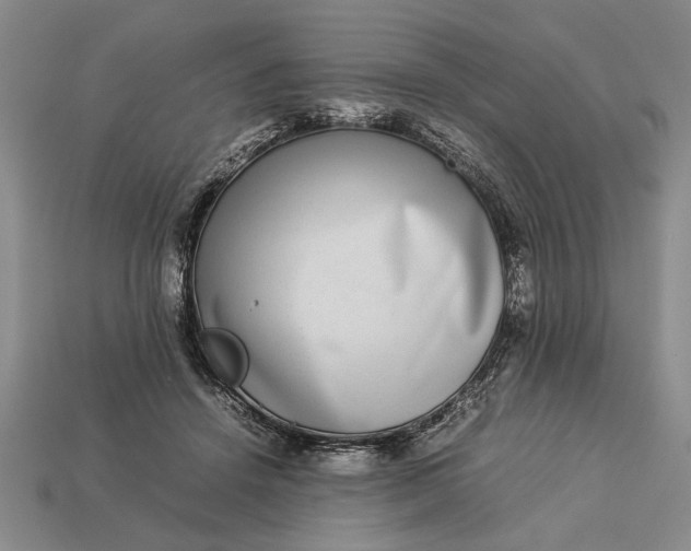 X0000113260456200909241526