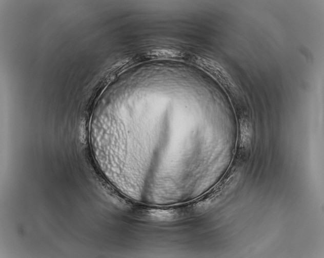 X0000113260457200909241526