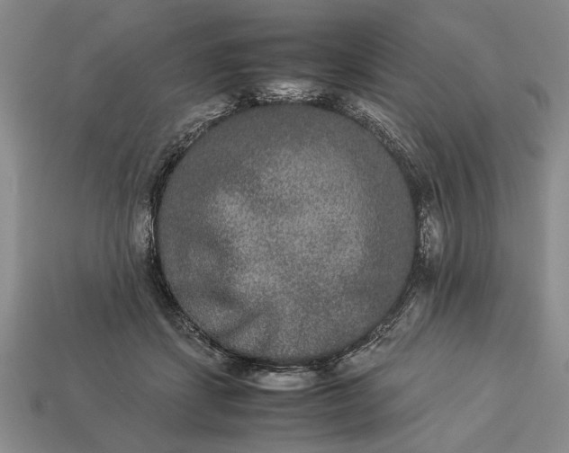 X0000113260459200909241526