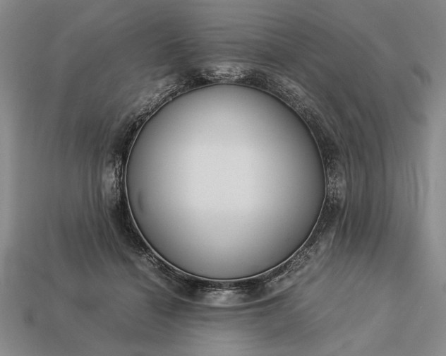 X0000113260460200909241526