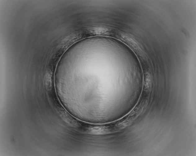 X0000113260461200909241526