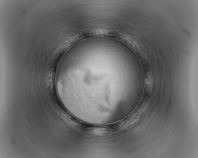 X0000113260462200909241526