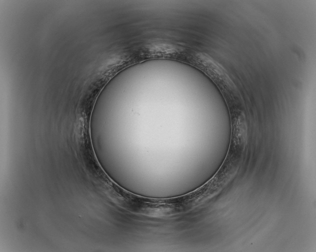 X0000113260463200909241526