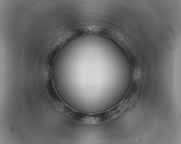 X0000113260464200909241526