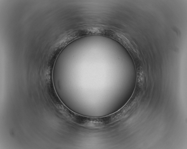 X0000113260466200909241526