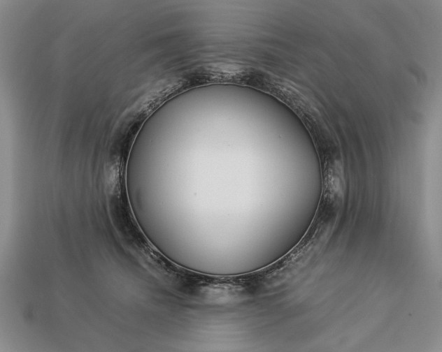 X0000113260468200909241526