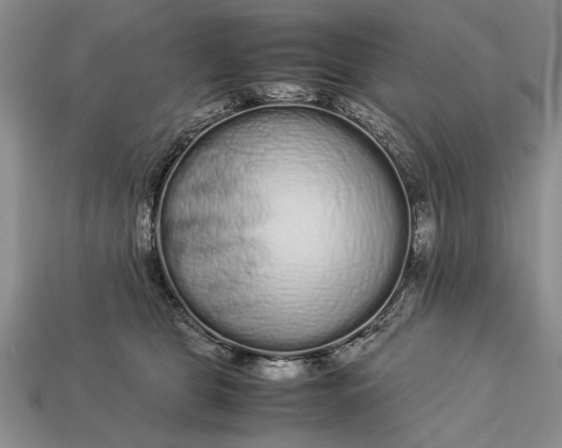 X0000113260469200909241526