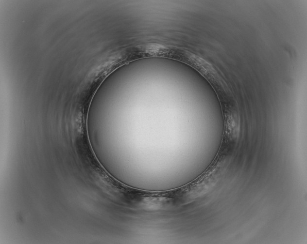 X0000113260470200909241526