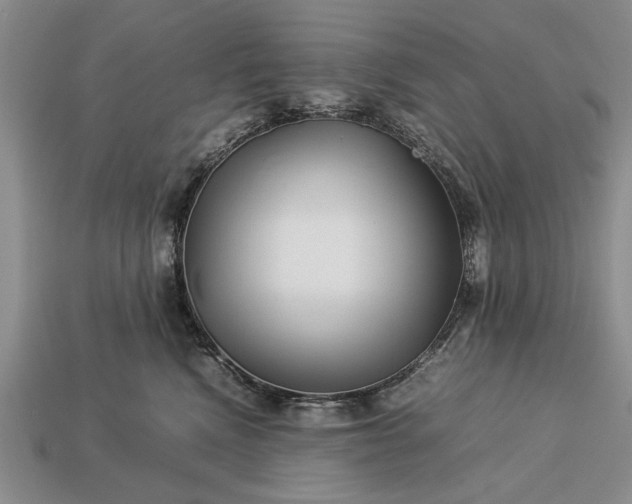 X0000113260472200909241526