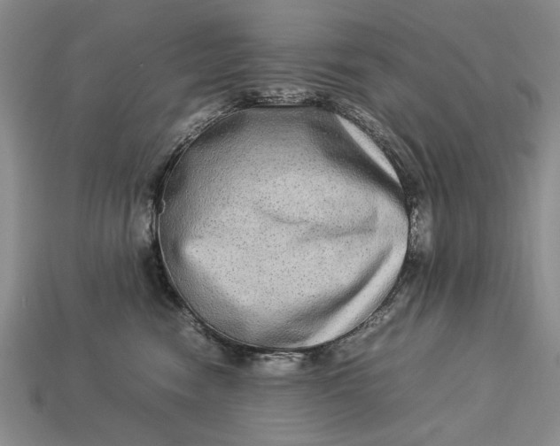 X0000113260474200909241526