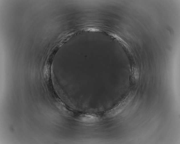 X0000113260475200909241526