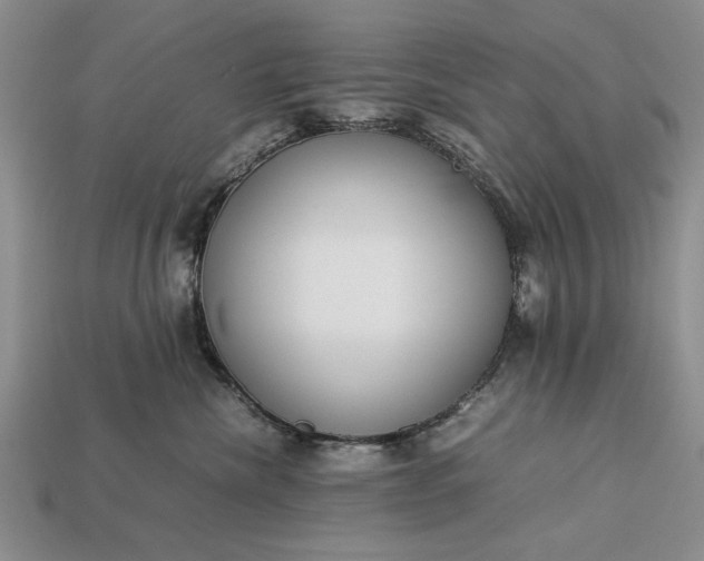 X0000113260476200909241526