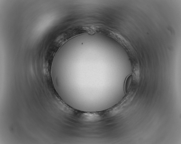 X0000113260477200909241526