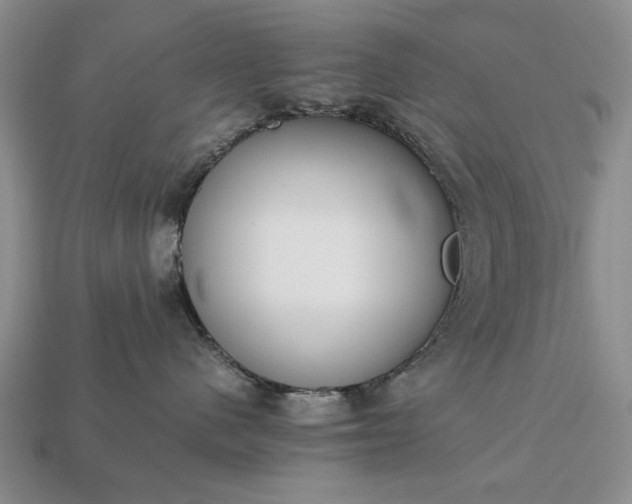 X0000113260480200909241526