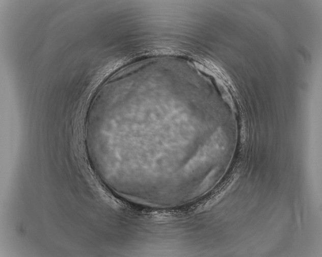 X0000113260481200909241525