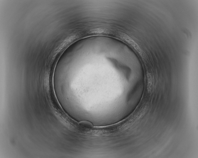 X0000113260482200909241525