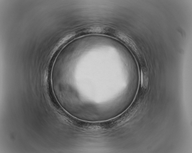 X0000113260483200909241525