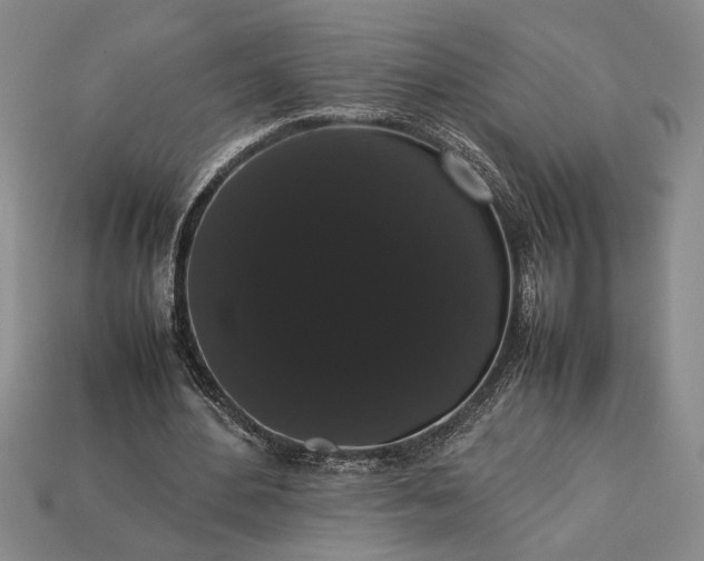 X0000113260484200909241525