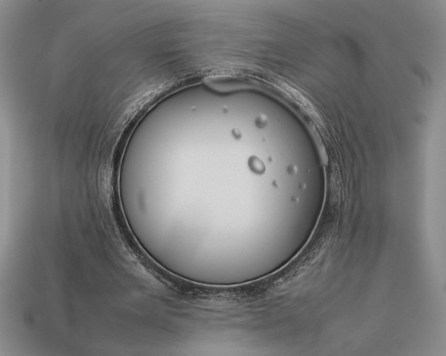 X0000113260485200909241525