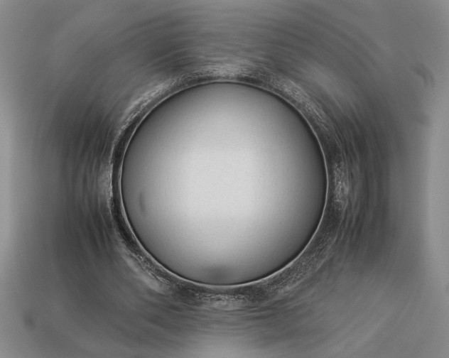 X0000113260486200909241525