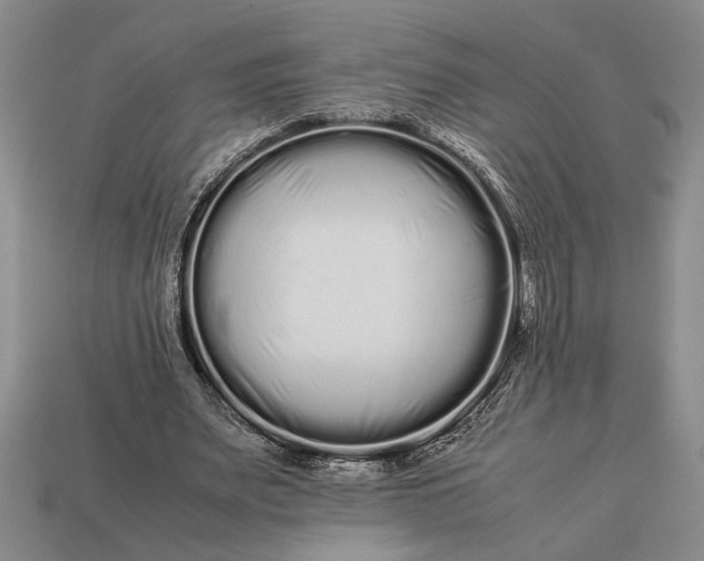 X0000113260487200909241525