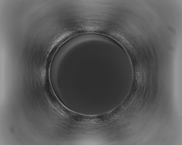 X0000113260488200909241525