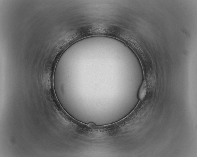 X0000113260489200909241525