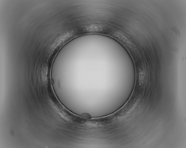 X0000113260490200909241525