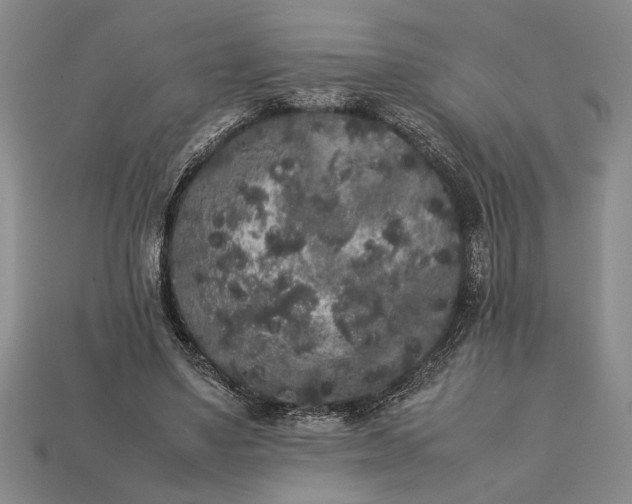 X0000113260491200909241525