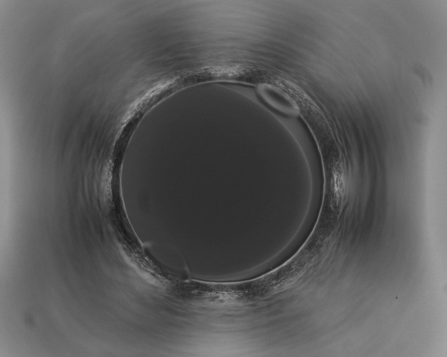 X0000113260492200909241525