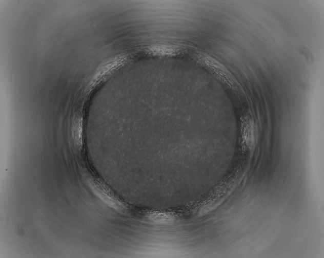 X0000113260494200909241525