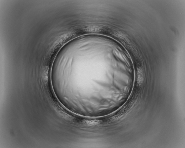 X0000113260495200909241525