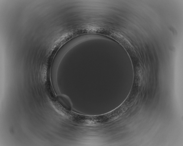 X0000113260496200909241525