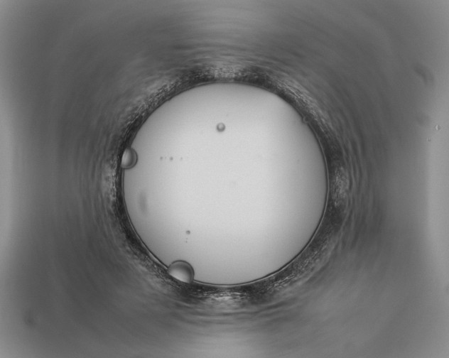 X0000113260497200909241525