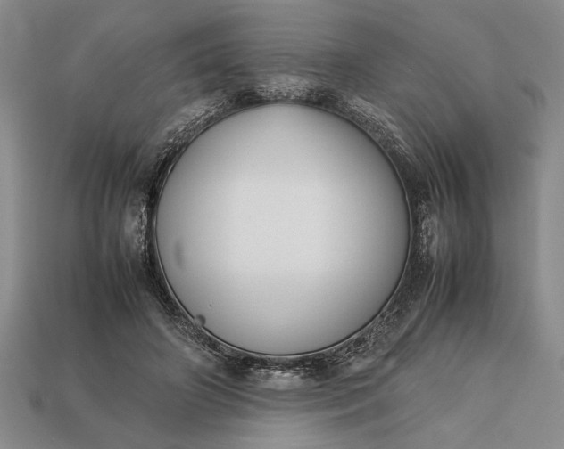 X0000113260498200909241525