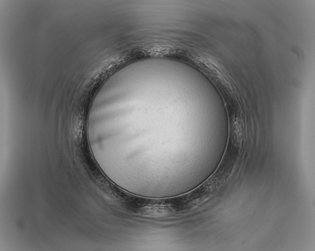 X0000113260499200909241525