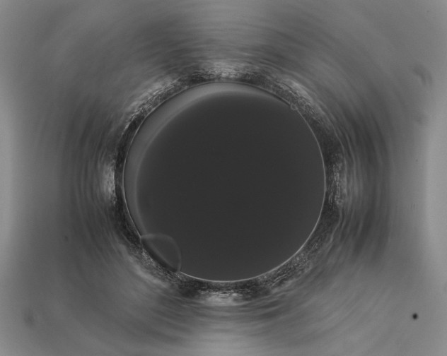 X0000113260500200909241525