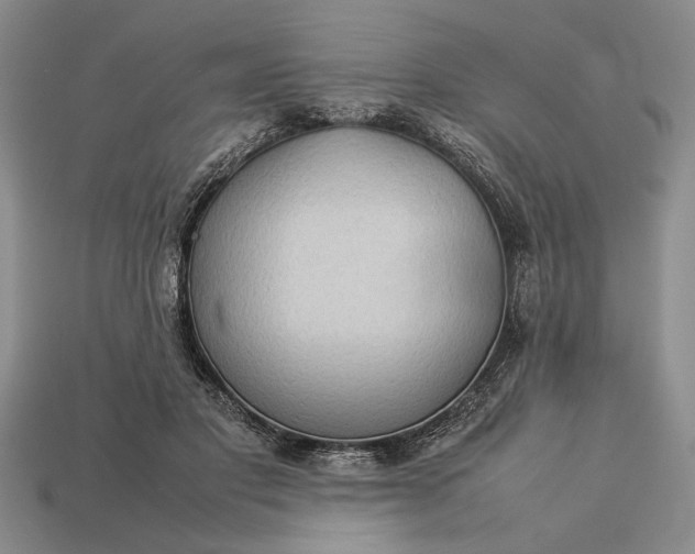 X0000113260501200909241525