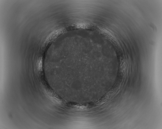 X0000113260502200909241525