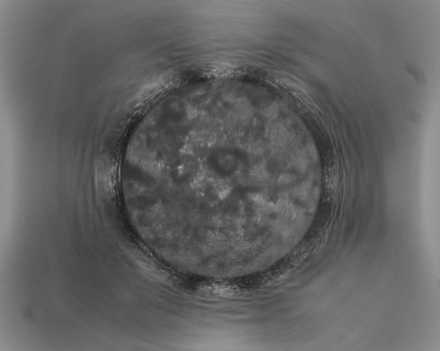 X0000113260503200909241525