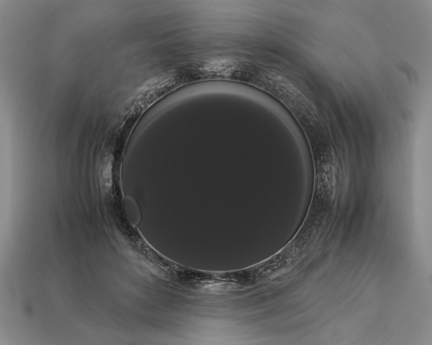 X0000113260504200909241525