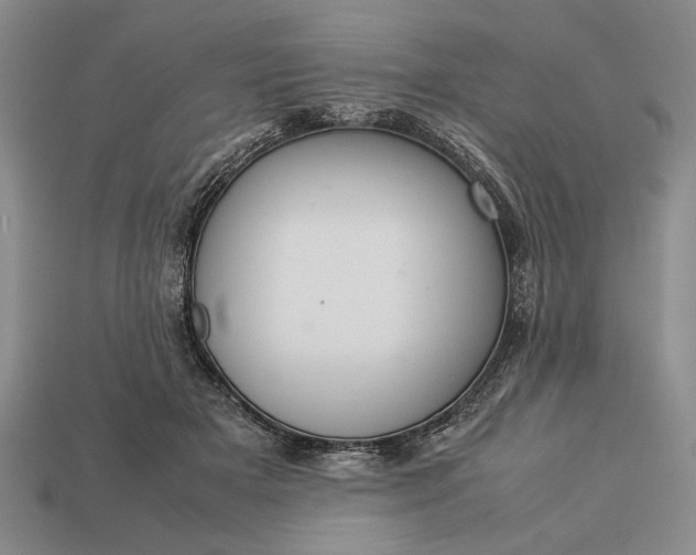 X0000113260505200909241525