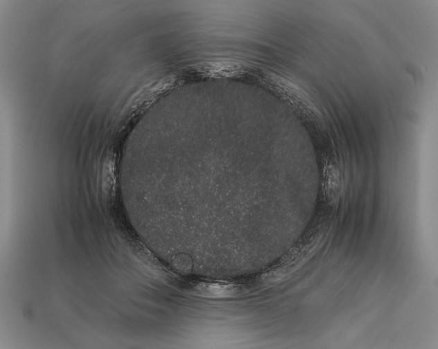 X0000113260506200909241525