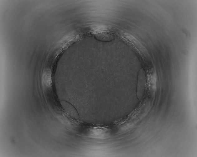 X0000113260508200909241525