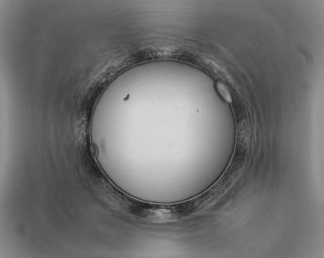 X0000113260509200909241525