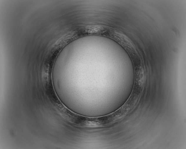 X0000113260510200909241525