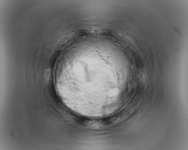 X0000113260511200909241525