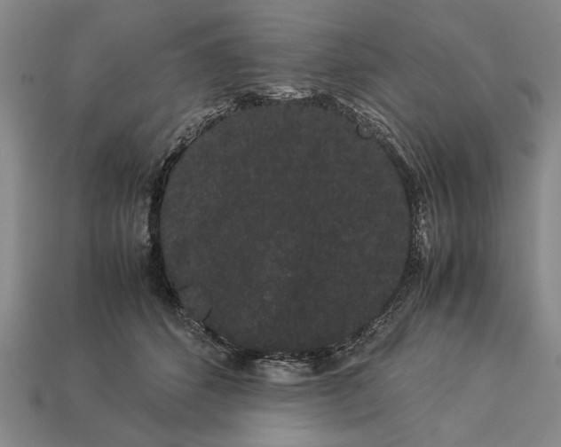 X0000113260512200909241525