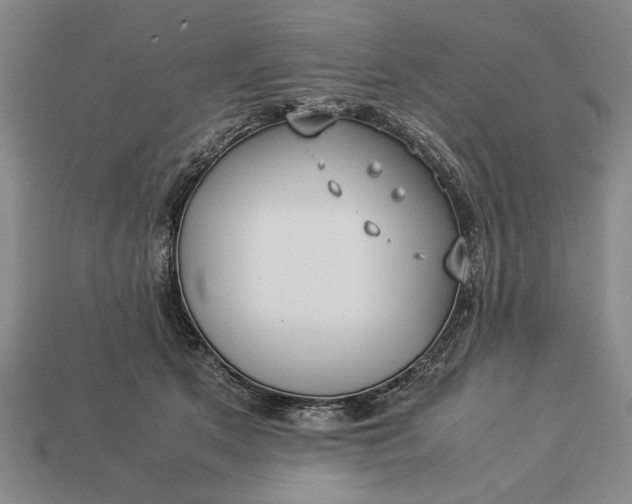 X0000113260513200909241525